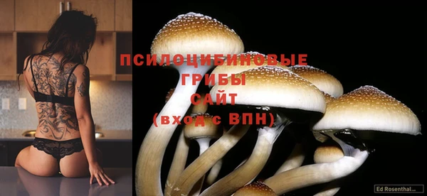 таблы Арсеньев