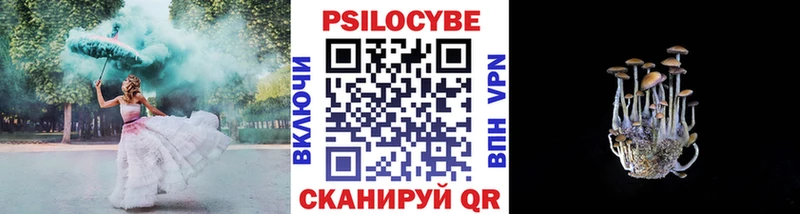 купить  сайты  Армянск  Галлюциногенные грибы Cubensis 